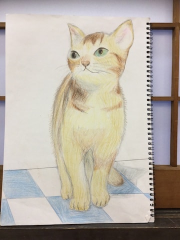 猫の絵